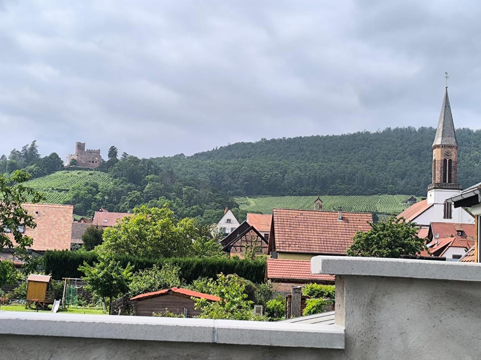 Gite Bonheur Et Charme Spa-Sauna Forfait 2H Inclus Kintzheim Exteriör bild